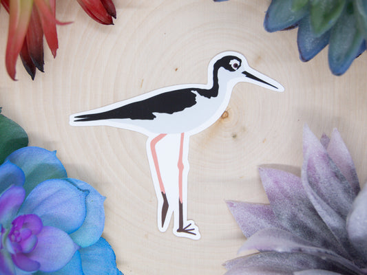 Black Necked Stilt Sticker