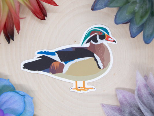 Wood Duck Sticker