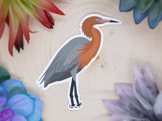 Reddish Egret Sticker