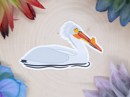 American White Pelican Sticker