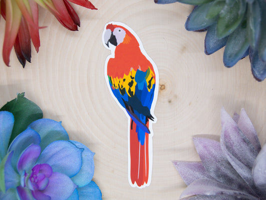 Scarlet Macaw Sticker