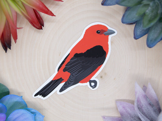 Scarlet Tanager Sticker