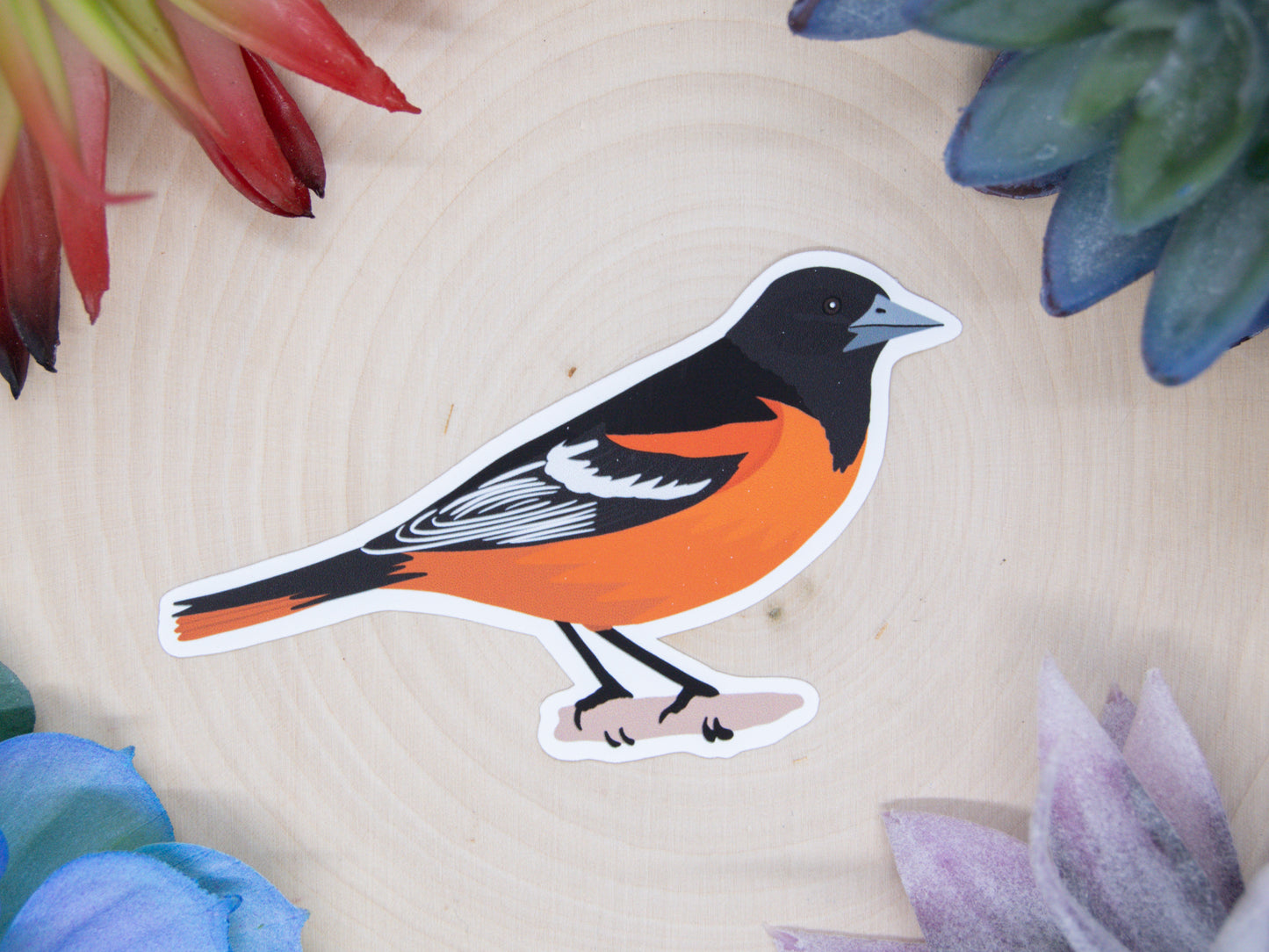 Baltimore Oriole Sticker