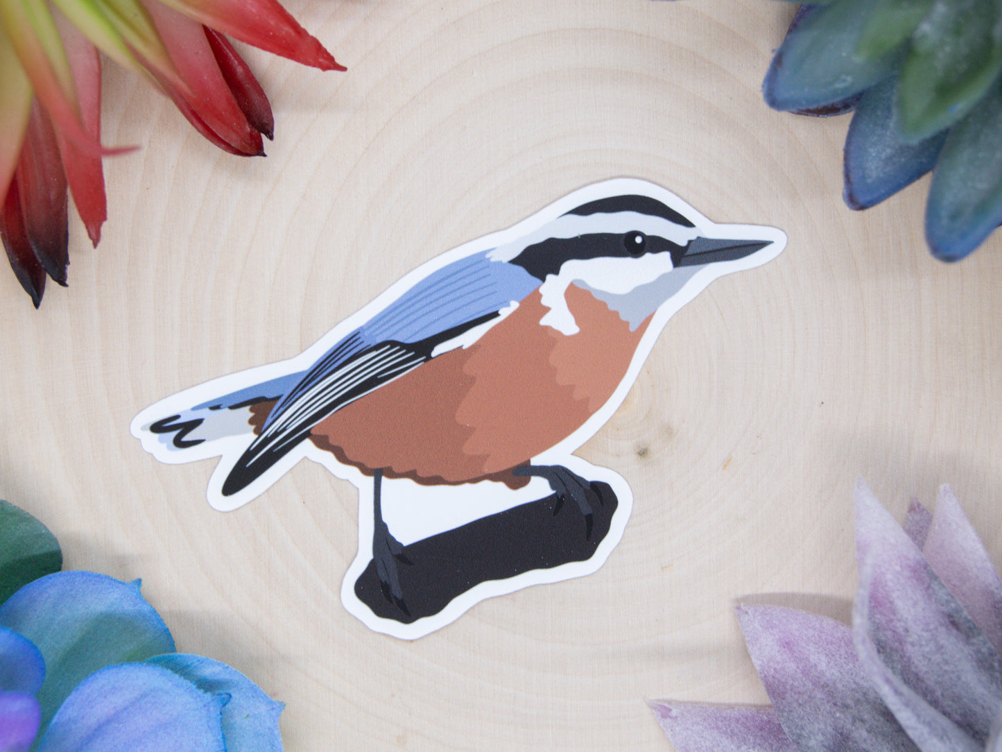 Red Breasted Nuthatch Sticker