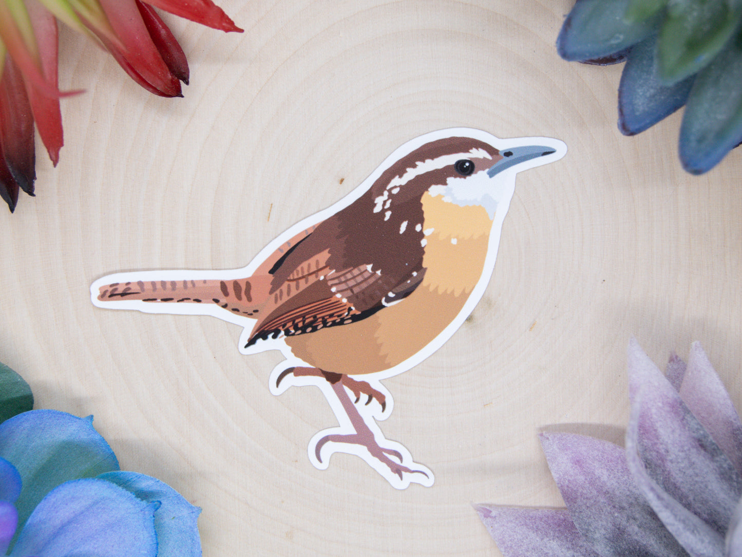 Carolina Wren Sticker