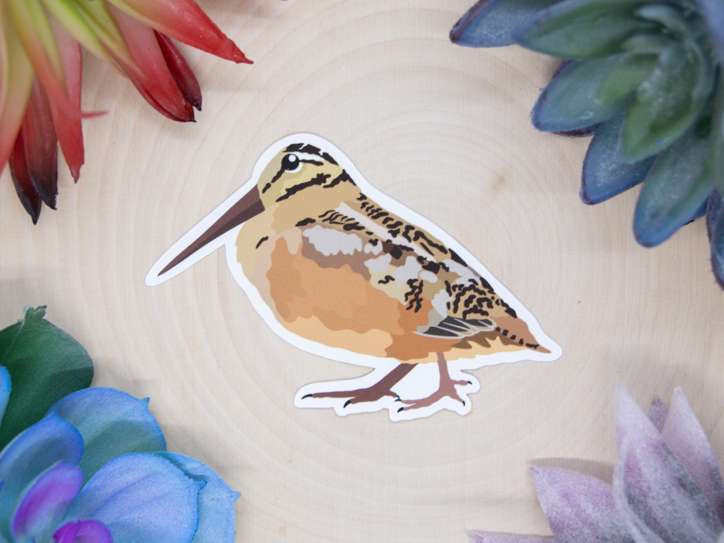 American Woodcock Sticker