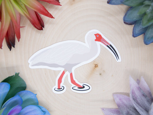 White Ibis Sticker