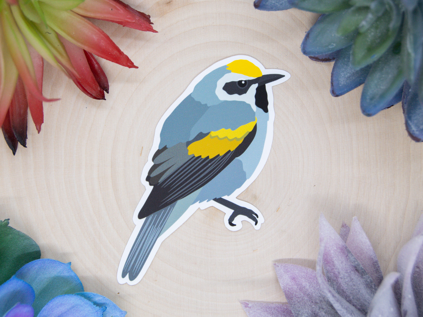 Golden Winged Warbler Sticker