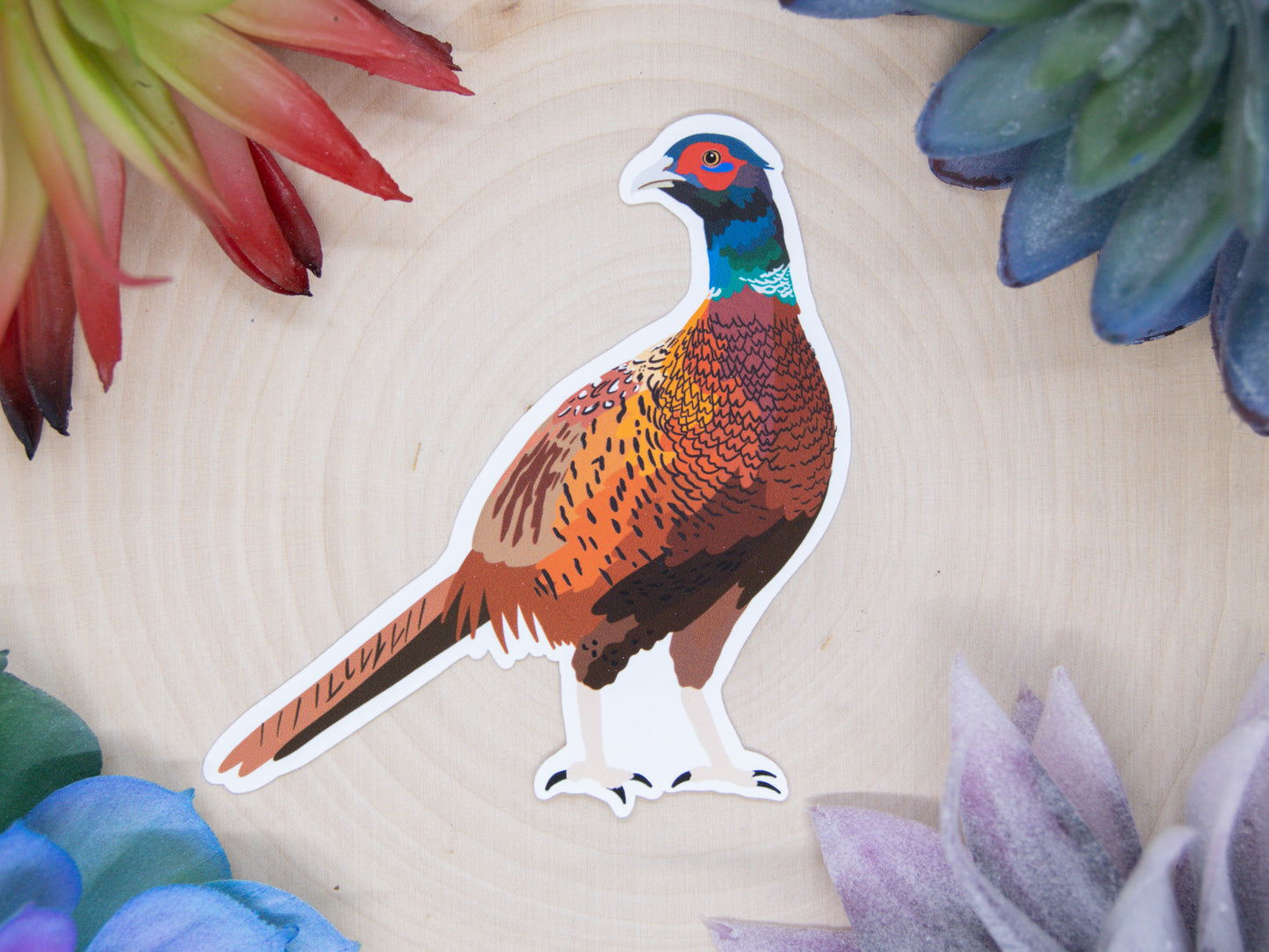 Pheasant Sticker