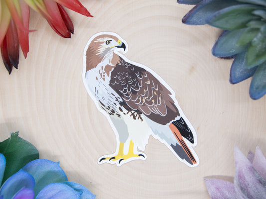 Red Tailed Hawk Sticker