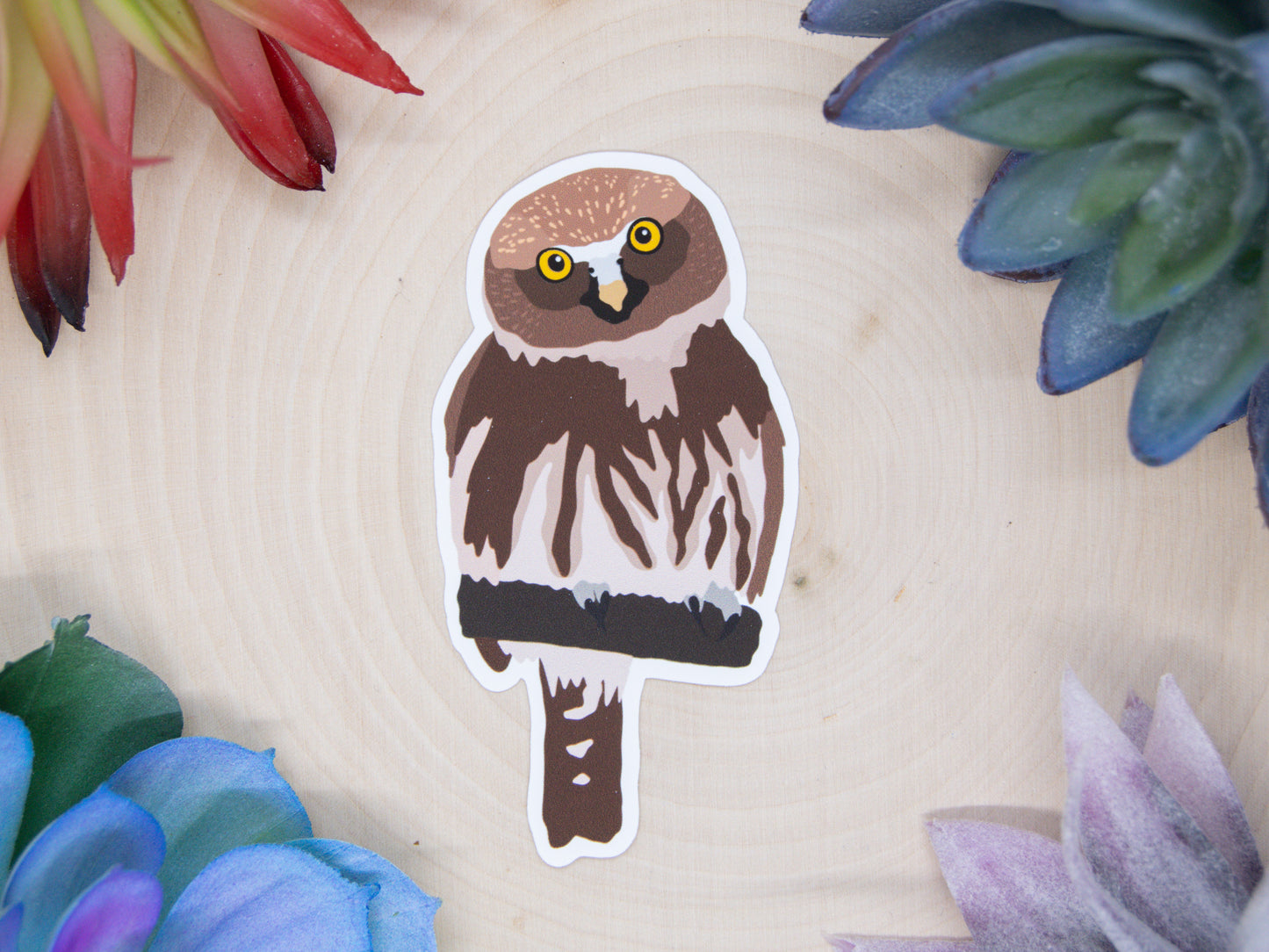 Pygmy Owl Sticker