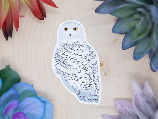 Snowy Owl Sticker