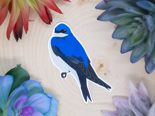 Tree Swallow Sticker