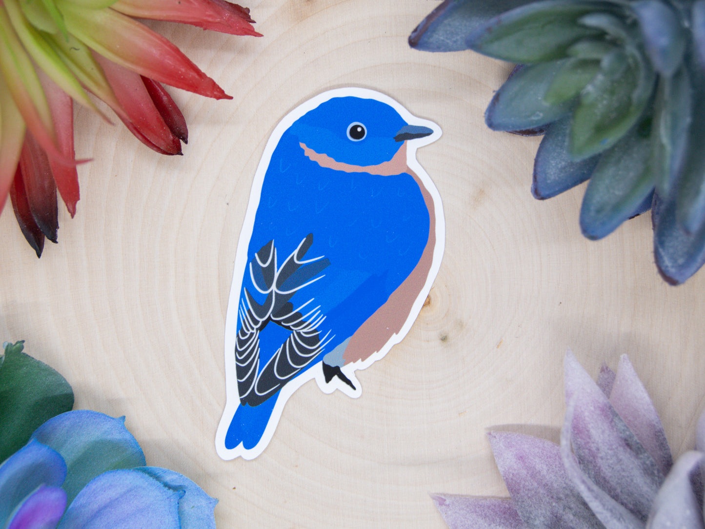 Eastern Bluebird Sticker