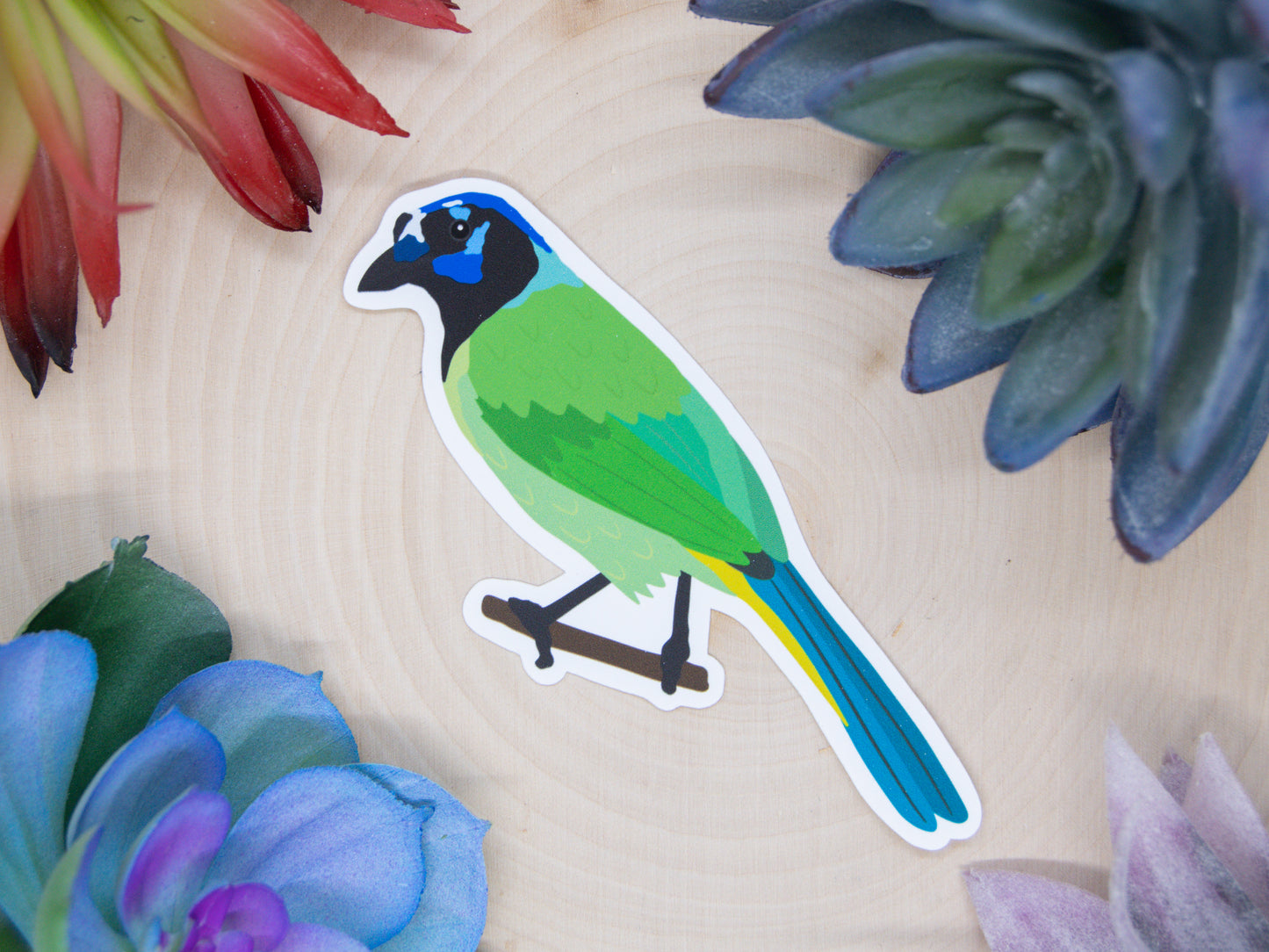 Green Jay Sticker