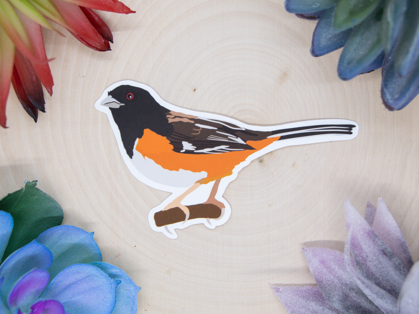 Eastern Towhee Sticker