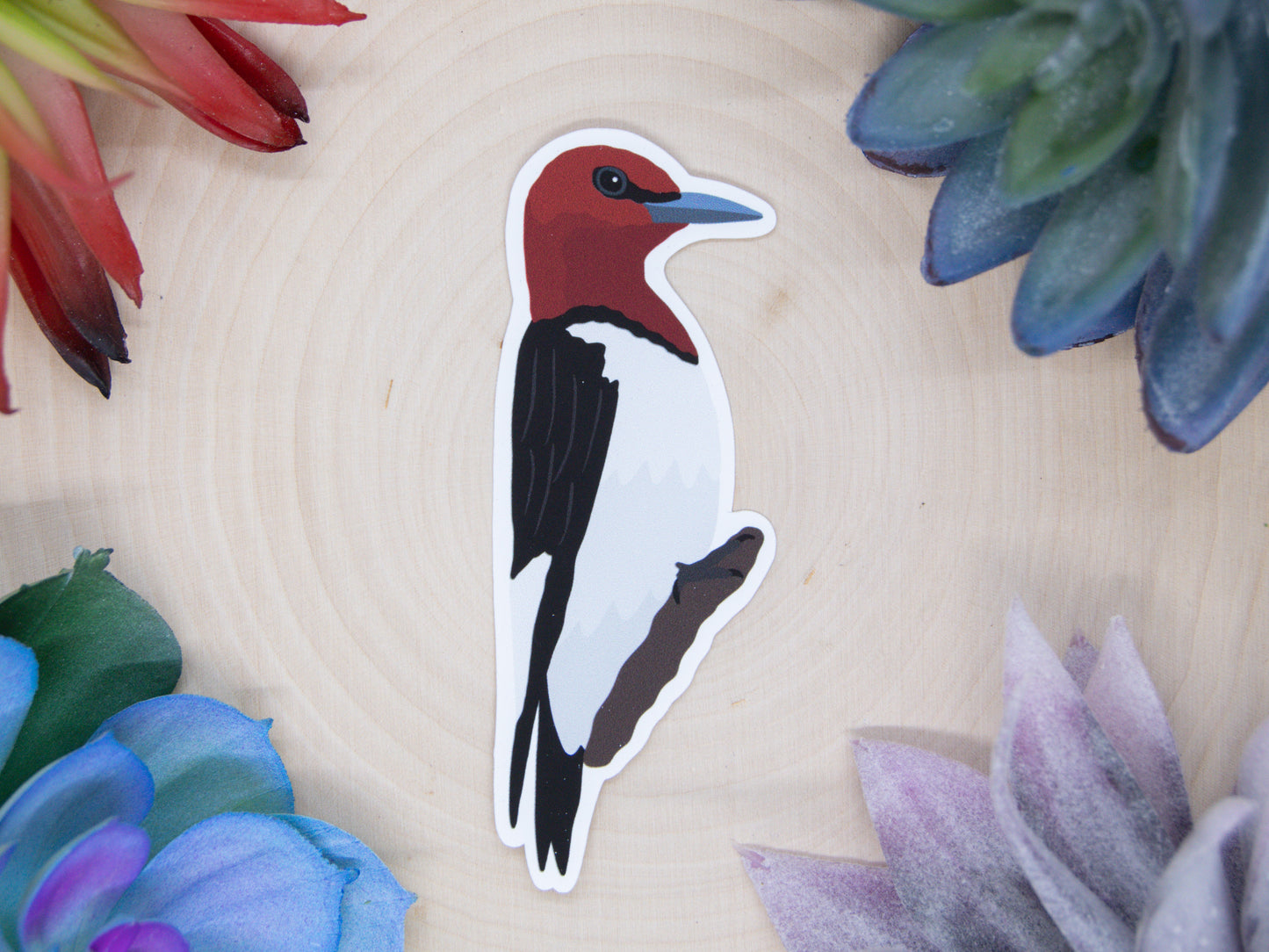 Red Headed Woodpecker Sticker