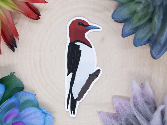 Red Headed Woodpecker Sticker