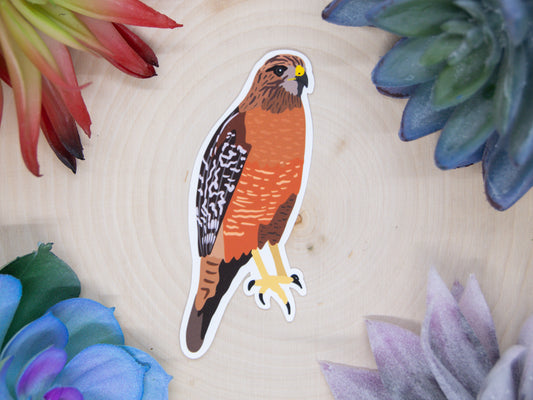 Red Shouldered Hawk Sticker