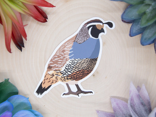 California Quail Sticker