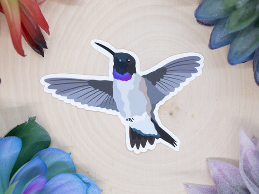 Black Chinned Hummingbird Sticker