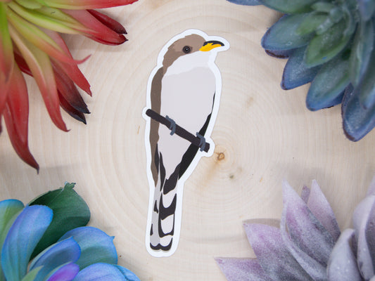 Yellow Billed Cuckoo Sticker