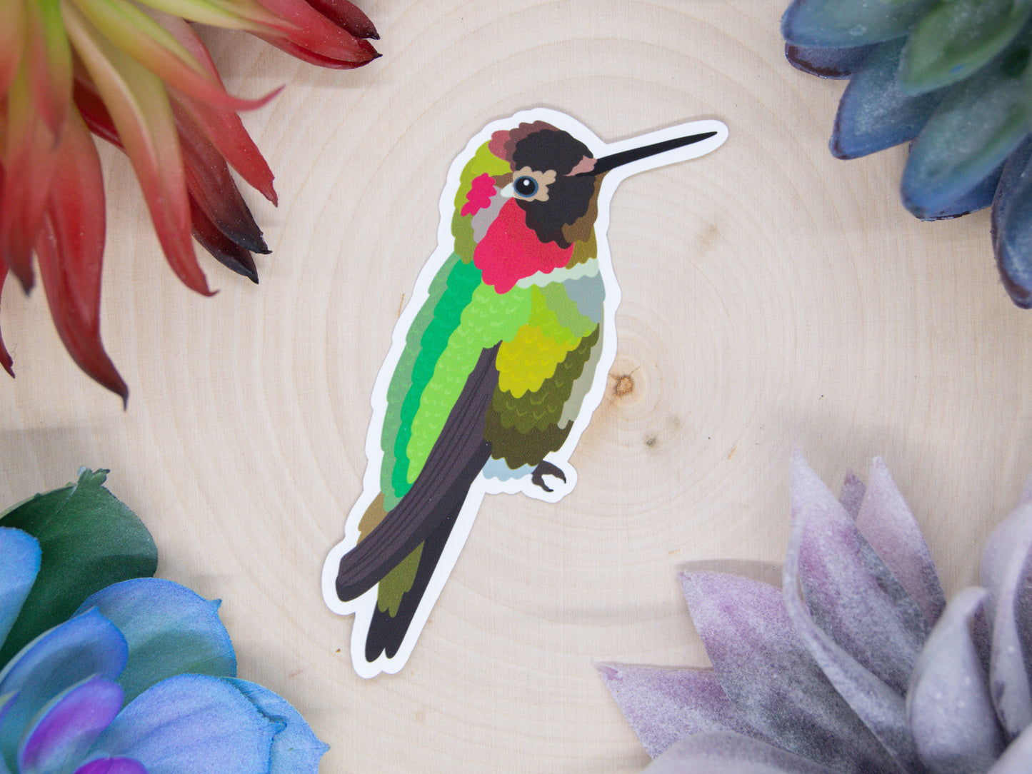 Anna's Hummingbird Sticker