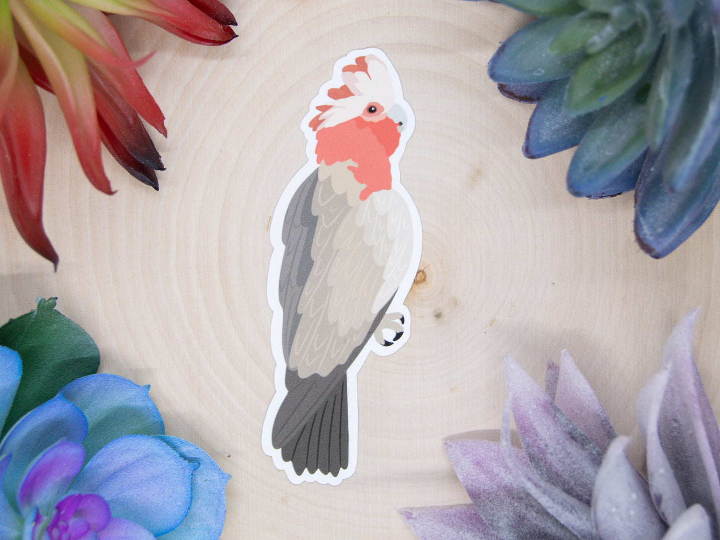 Galah Sticker