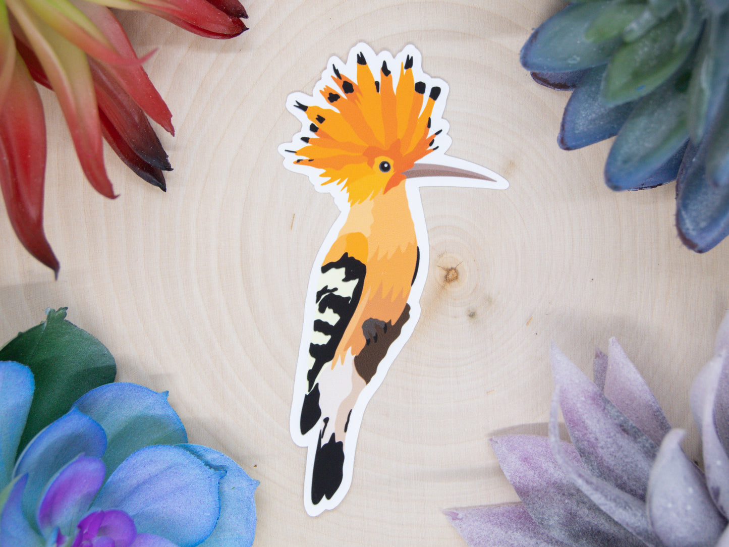 Hoopoe Sticker