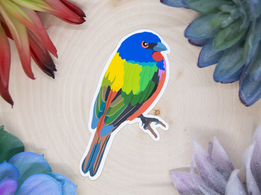 Painted Bunting Sticker