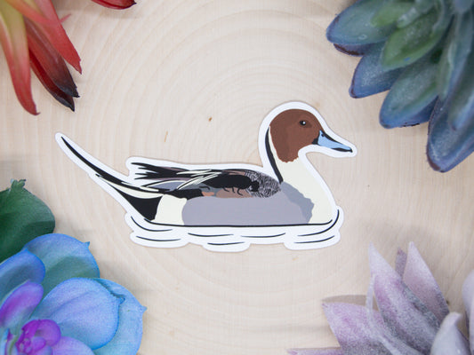 Pintail Duck Sticker