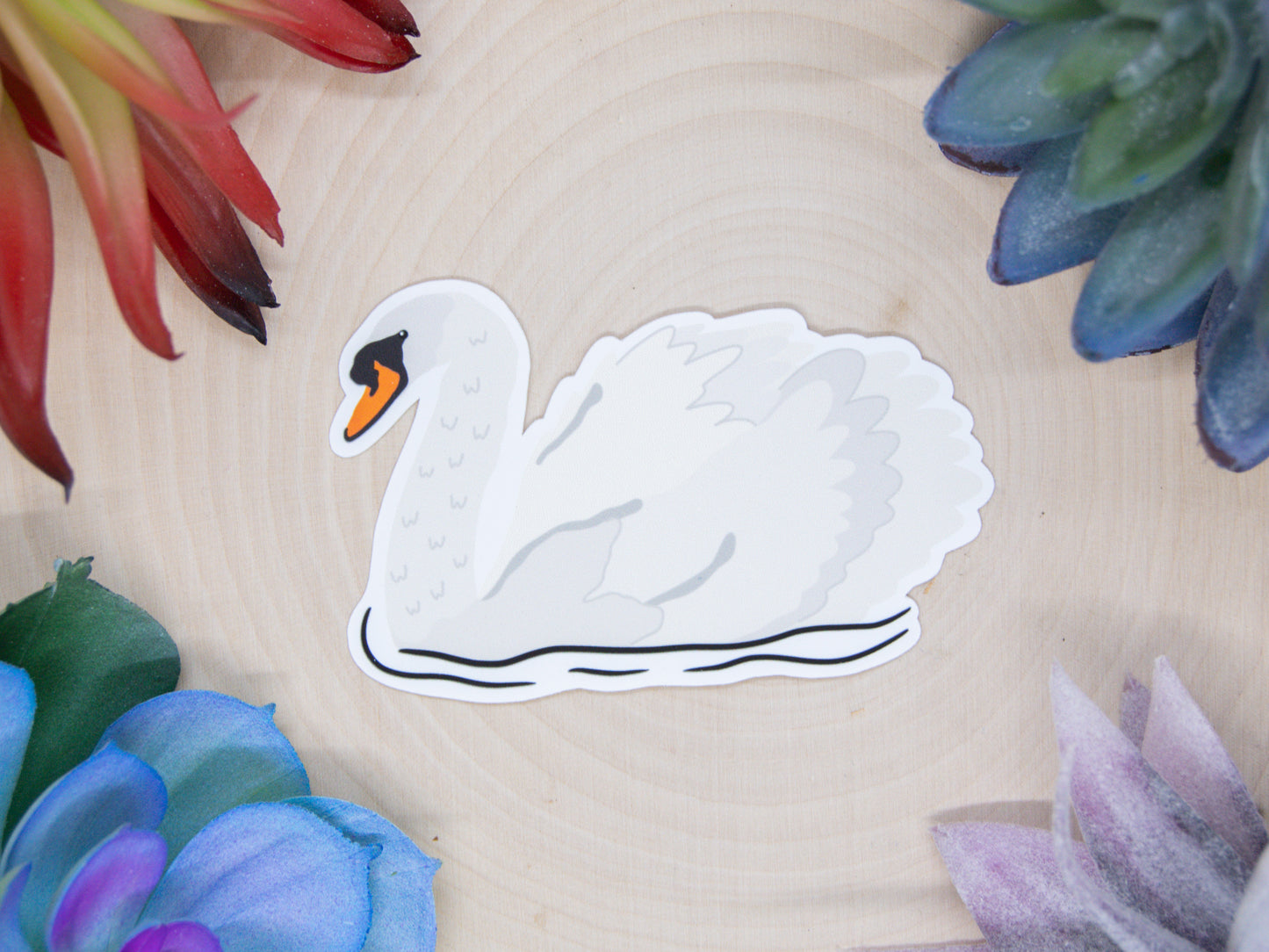 Mute Swan Sticker