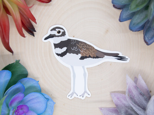 Killdeer Sticker