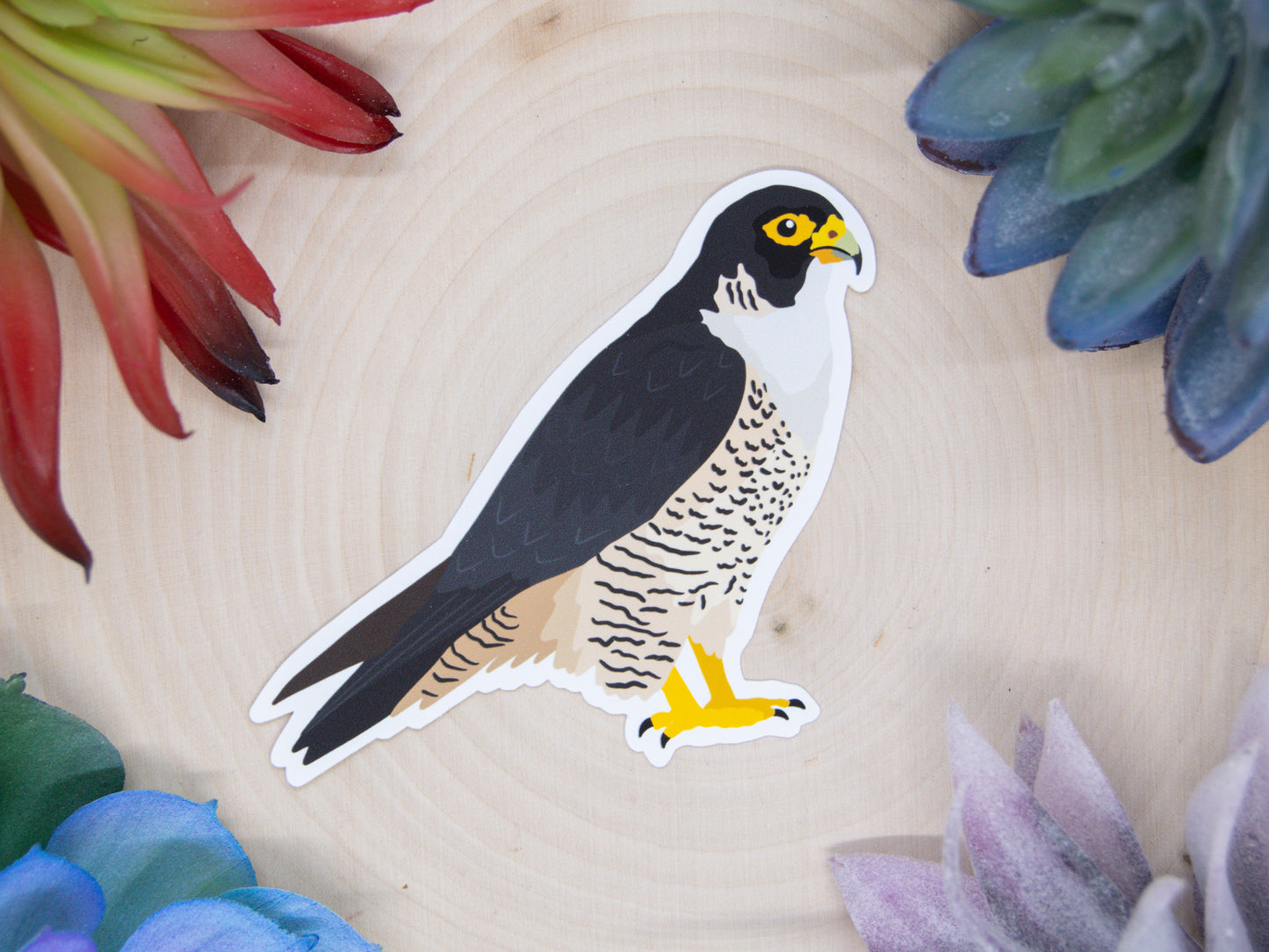 Peregrine Falcon Sticker