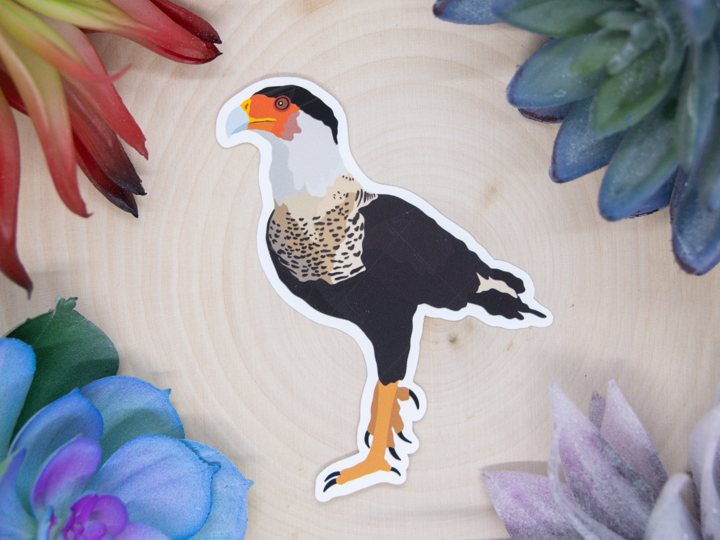 Crested Caracara Sticker