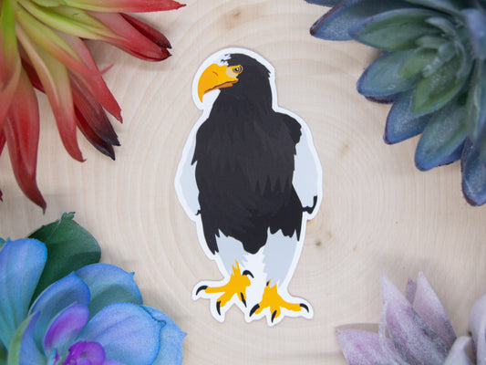 Steller's Sea Eagle Sticker