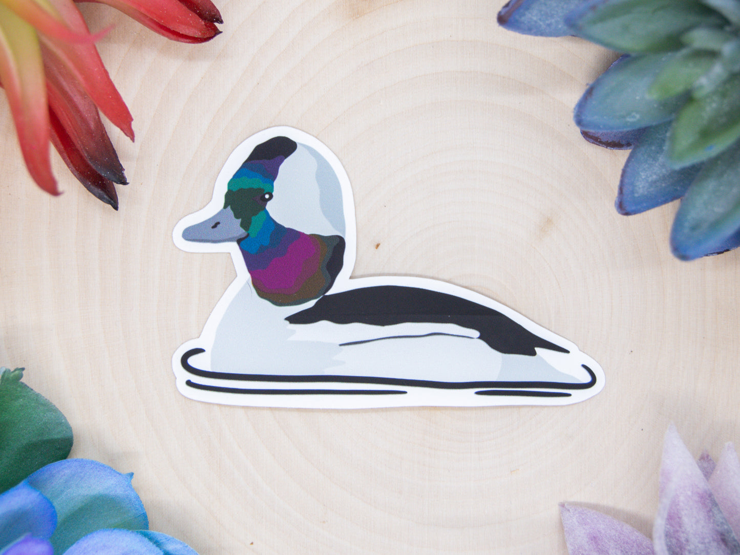 Bufflehead Sticker