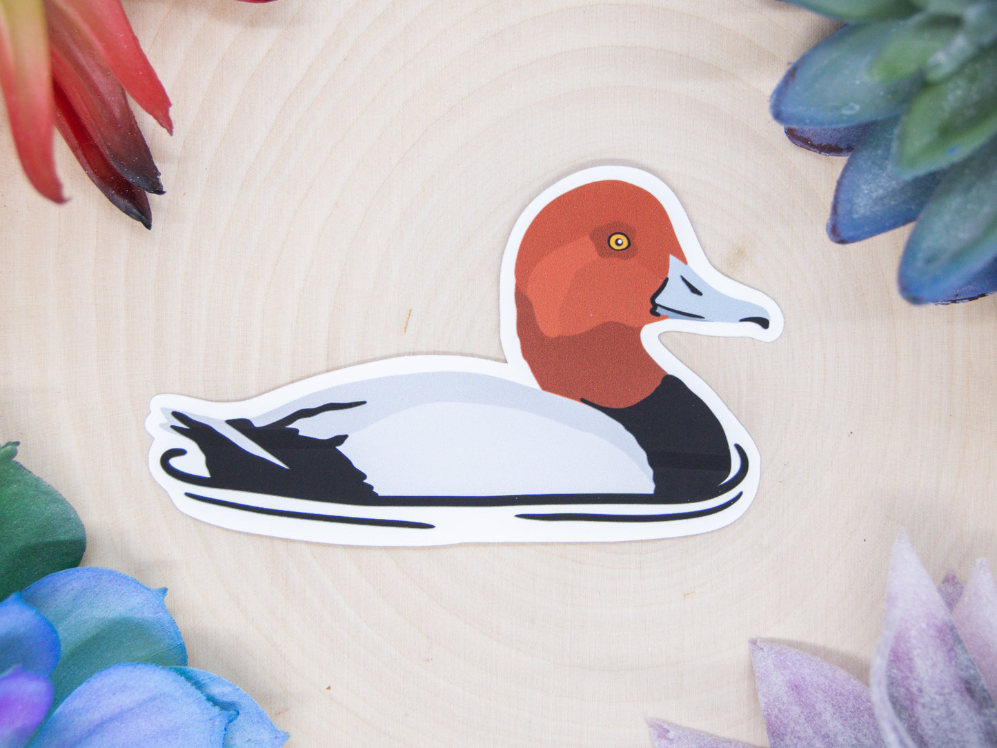 Redhead Duck Sticker