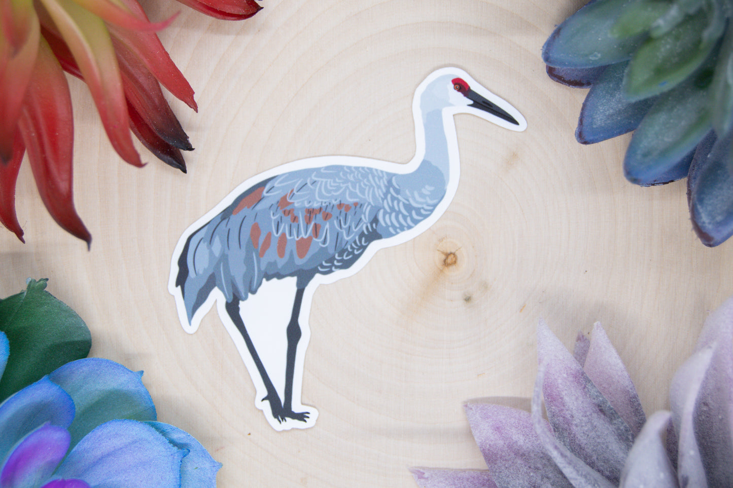 Sandhill Crane Sticker