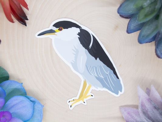 Black Crowned Night Heron Sticker