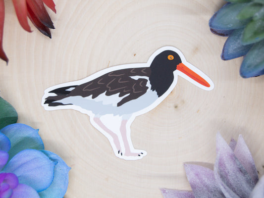 Oystercatcher Sticker