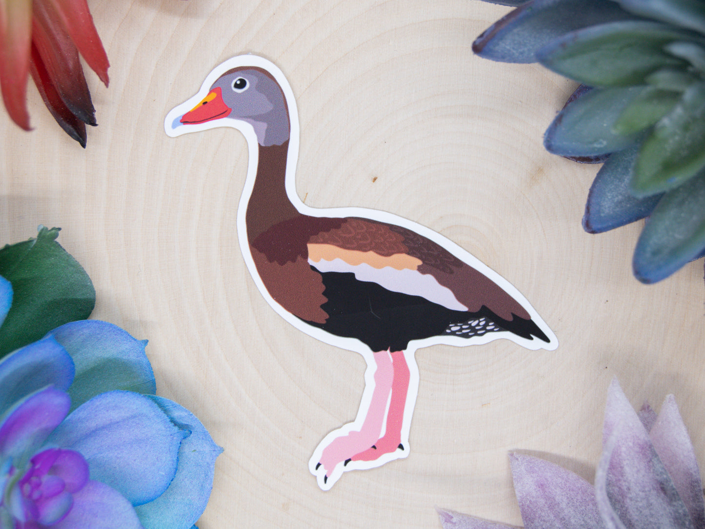 Black Bellied Whistling Duck Sticker