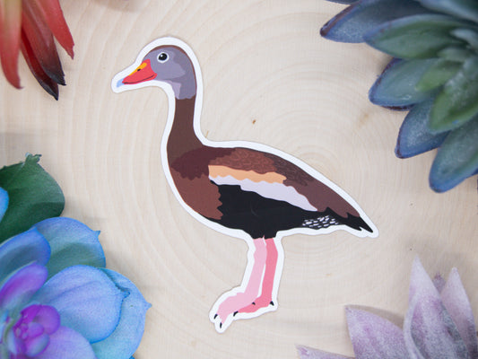 Black Bellied Whistling Duck Sticker