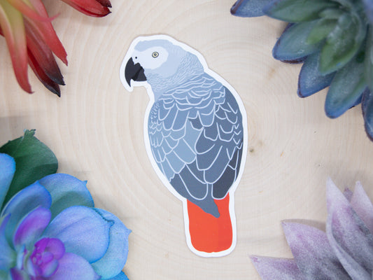 African Gray Parrot Sticker