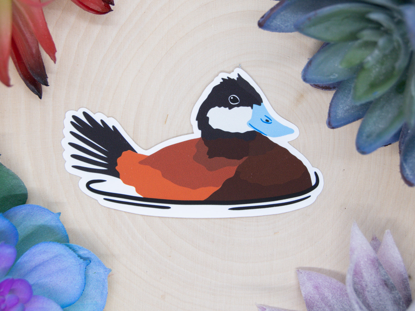 Ruddy Duck Sticker