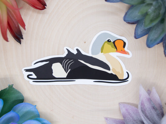 King Eider Sticker