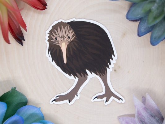 Kiwi Sticker