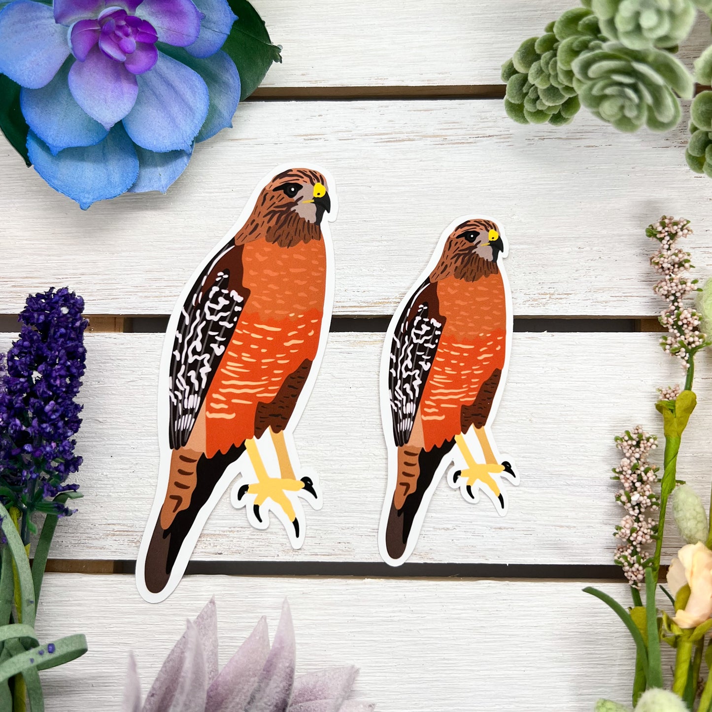 Red Shouldered Hawk Sticker