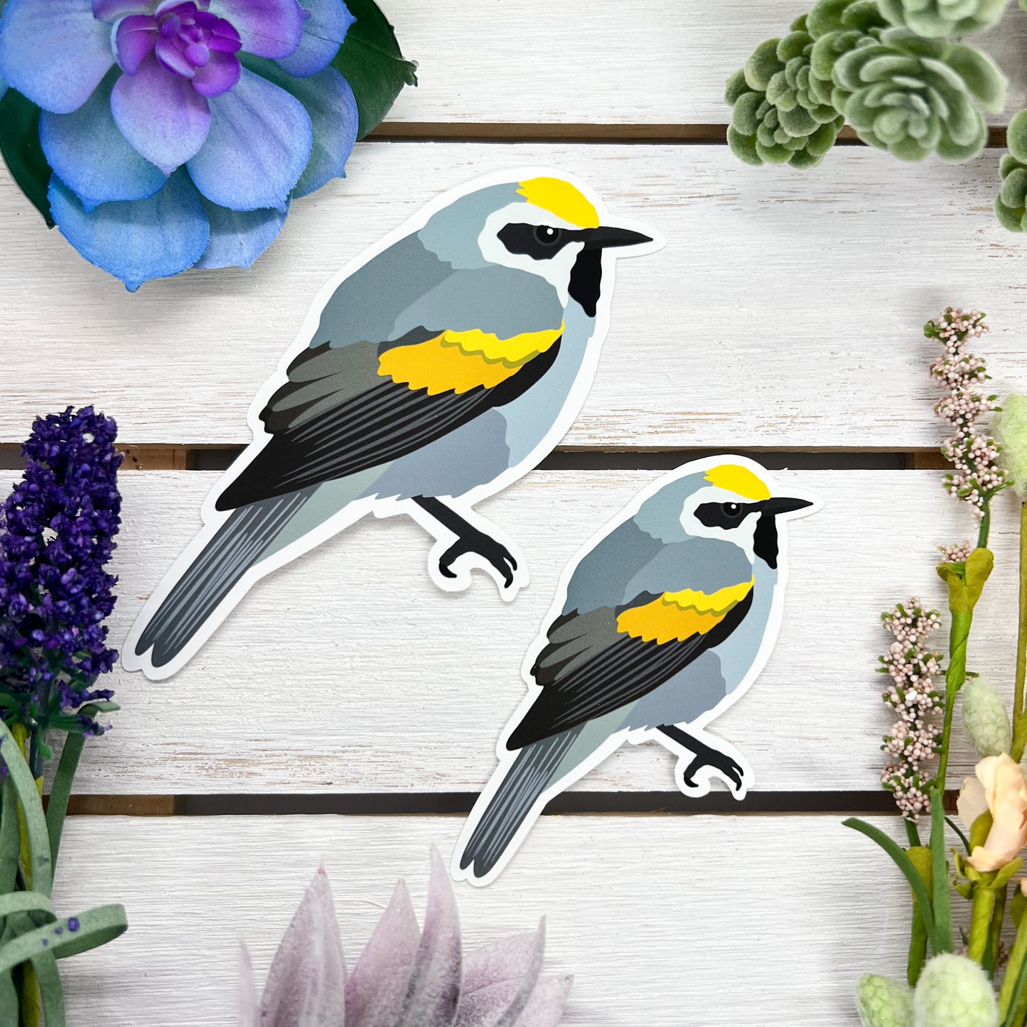 Golden Winged Warbler Sticker