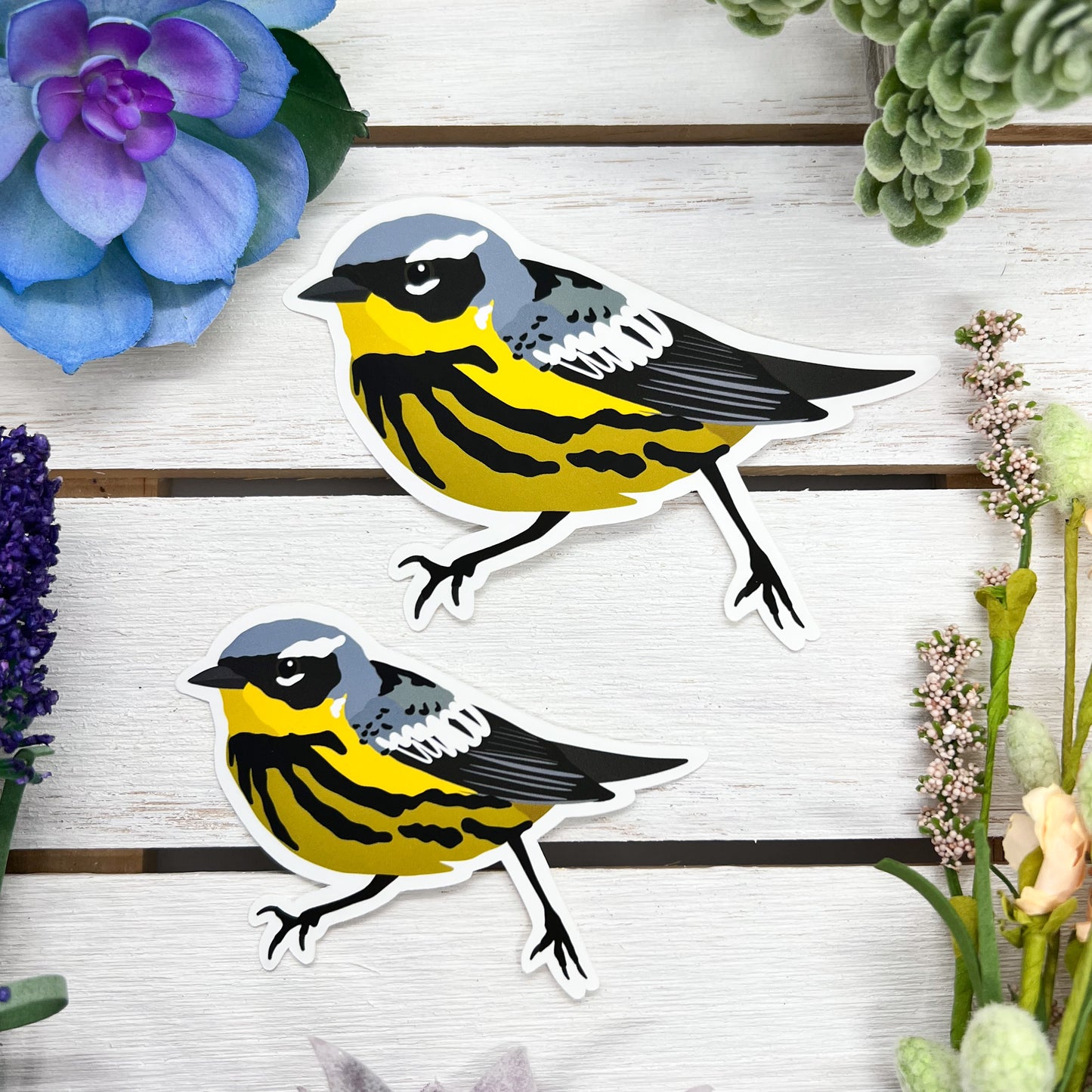 Magnolia Warbler Sticker